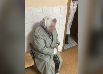На трасі Київ — Одеса патрульні допомогли жінці, яка заблукала