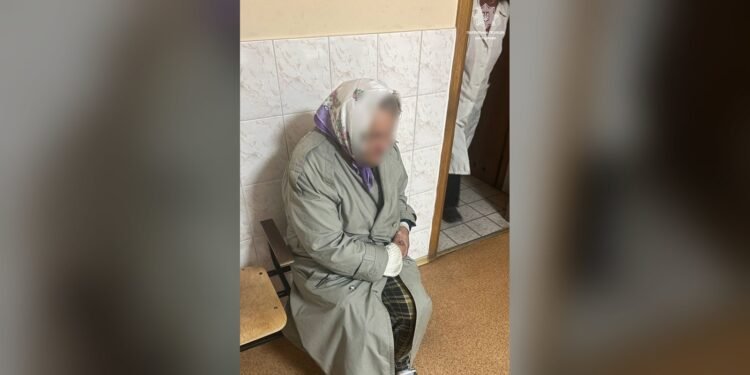 На трасі Київ — Одеса патрульні допомогли жінці, яка заблукала