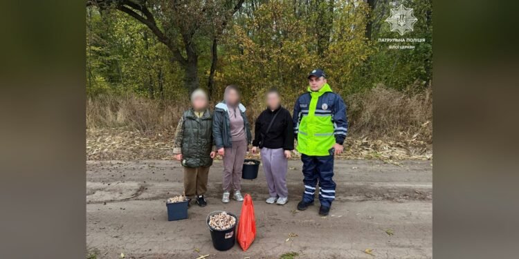 У лісі біля Сніжків патрульні розшукали заблукалих грибників