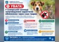 У Сквирській громаді ввели карантин через випадок сказу