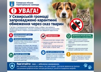 У Сквирській громаді ввели карантин через випадок сказу