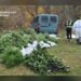 Понад 50 кг канабісу: на Білоцерківщині затримали чотирьох підозрюваних