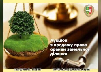 У Запрудді виставили на аукціон оренду 1 га землі
