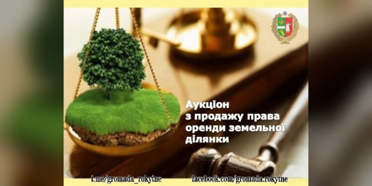 У Запрудді виставили на аукціон оренду 1 га землі