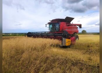 Комбайн у полі. Зображення з повідомлення Київської ОВА про збір урожаю.